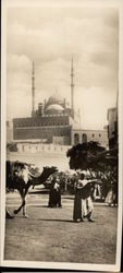 Mohamed Aly Mosque and the Citadel Cairo, Egypt Africa Postcard Postcard