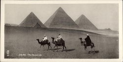 The Pyramids Postcard