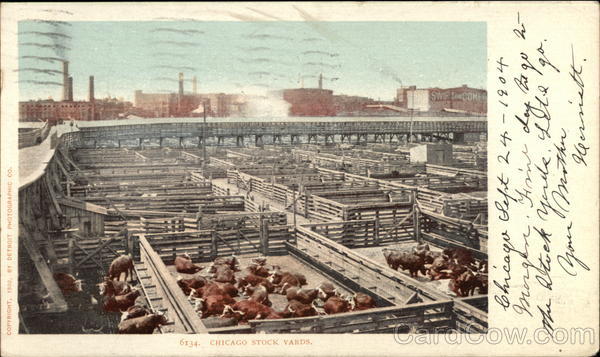 View of Stock Yards Chicago Illinois