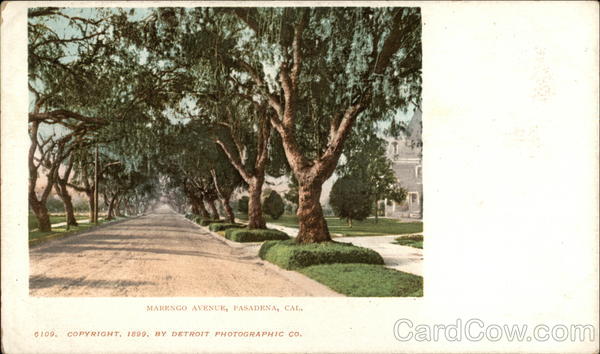 Looking Up Marengo Avenue Pasadena California