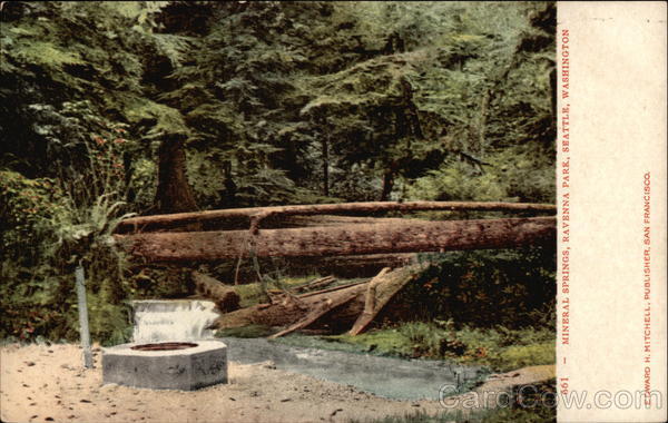 Ravenna Park - Mineral Springs Seattle Washington