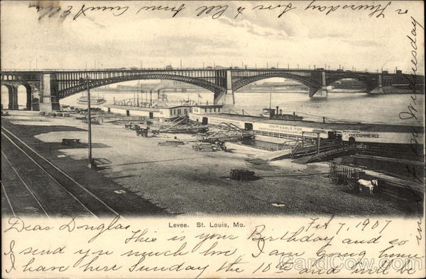 Levee and Bridge St. Louis Missouri