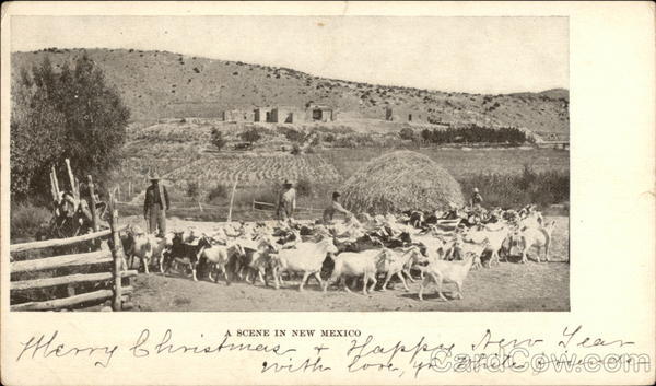A Scene in New Mexico