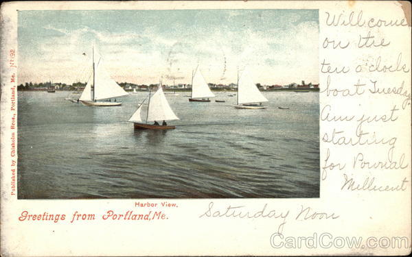 Greetings - Sailing Boats Portland Maine