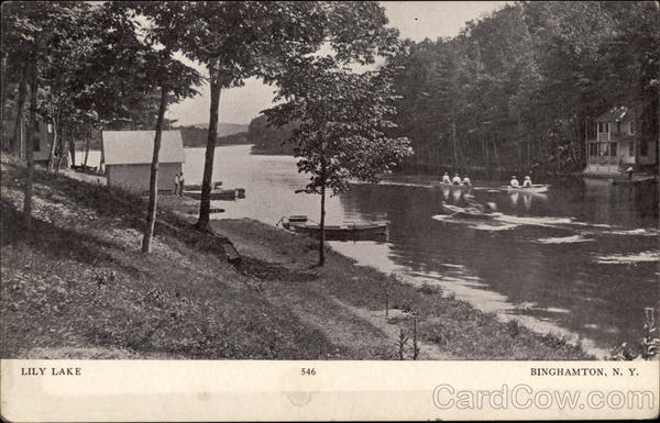 Lily Lake Binghamton New York