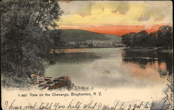 View on the Chenango Binghamton New York