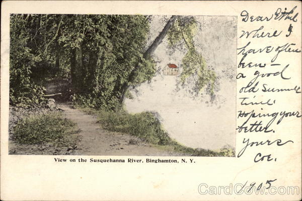 View on the Susquehanna River Binghamton New York