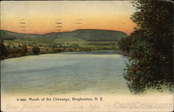 Mouth of the Chenango Binghamton New York