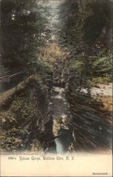 Sylvan Gorge Watkins Glen, NY Postcard Postcard