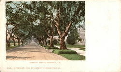 Looking Up Marengo Avenue Pasadena, CA Postcard Postcard
