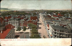 Birds Eye View of Binghamton Postcard