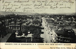 Bird's Eye View Looking West from Security Building Postcard
