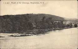 Mouth of the Chenango Postcard