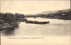View of the Susquehanna Postcard