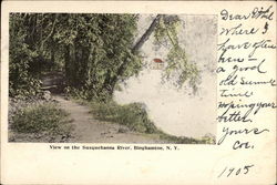 View on the Susquehanna River Postcard