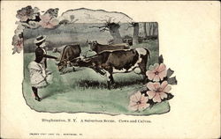 A Suburban Scene - Cows and Calves Postcard