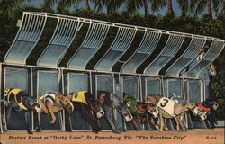Perfect Break at "Derby Lane," St. Petersburg, Fla. "The Sunshine City" Postcard