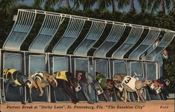 Perfect Break at "Derby Lane," St. Petersburg, Fla. "The Sunshine City" Florida Dog Racing Postcard Postcard