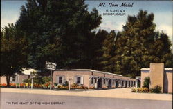 Mt. Tom Motel "In the Heart of the High Sierras" Postcard