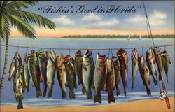 Fishin's Good in Florida Postcard