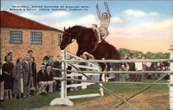 Rehearsal, Winter Quarters of Ringling Bros. Barnum & Bailey Circus Sarasota, FL Postcard Postcard