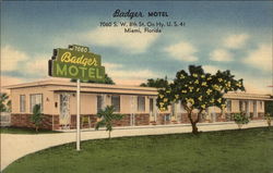 Badger Motel Postcard