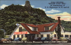 The Hot Fish Shop Winona, MN Postcard Postcard