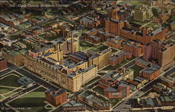 Stock #336681 Thumbnail