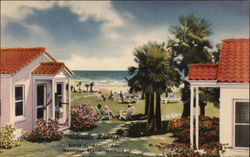 Florida Shores Postcard