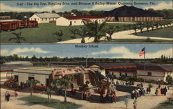 The Big Top, Ringling Bros. and Barnum & Bailey Winter Quarters Sarasota, FL Postcard Postcard