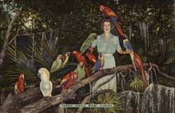 Stock #336723 Thumbnail