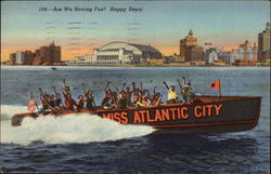 Are We Having Fun? Happy Days! Postcard