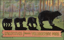 Greetings From Yellowstone Park Yellowstone National Park Postcard Postcard