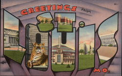 Greetings from St. Louis Missouri Postcard Postcard