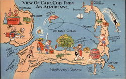 View of Cape Cod from an Aeroplane Postcard