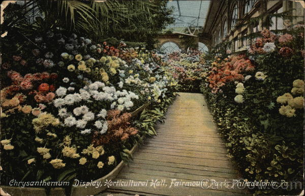 Fairmount Park - Horticultural Hall, Chrysanthemum Display Philadelphia Pennsylvania