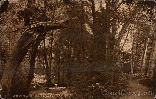 Lost Arrow Trail Yosemite Valley California Yosemite National Park