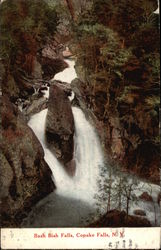 Bash Bish Falls Copake Falls, NY Postcard Postcard