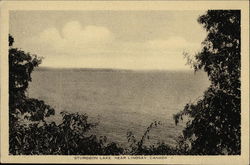 Sturgeon Lake Lindsay, ON Canada Ontario Postcard Postcard
