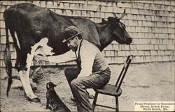 From Producer to Consumer Direct, Beach Farm Postcard