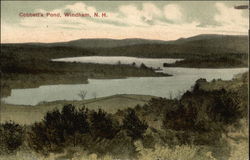 Cobbett's Pond Postcard