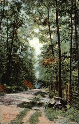 Fox Point Drive Postcard