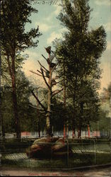 Stock #337991 Thumbnail