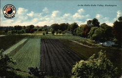 Valley View Walla Walla, WA Postcard Postcard