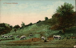 A Vermont Hillside Scenic, VT Postcard Postcard