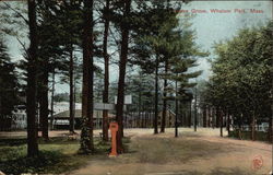 Whalom Park - Theatre Grove Postcard