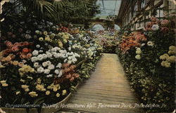 Fairmount Park - Horticultural Hall, Chrysanthemum Display Postcard