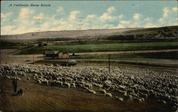 Stock #338417 Thumbnail