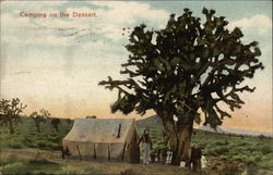 Camping on the Desert Postcard