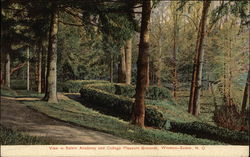 Salem Academy and College Pleasure Grounds Winston-Salem, NC Postcard Postcard